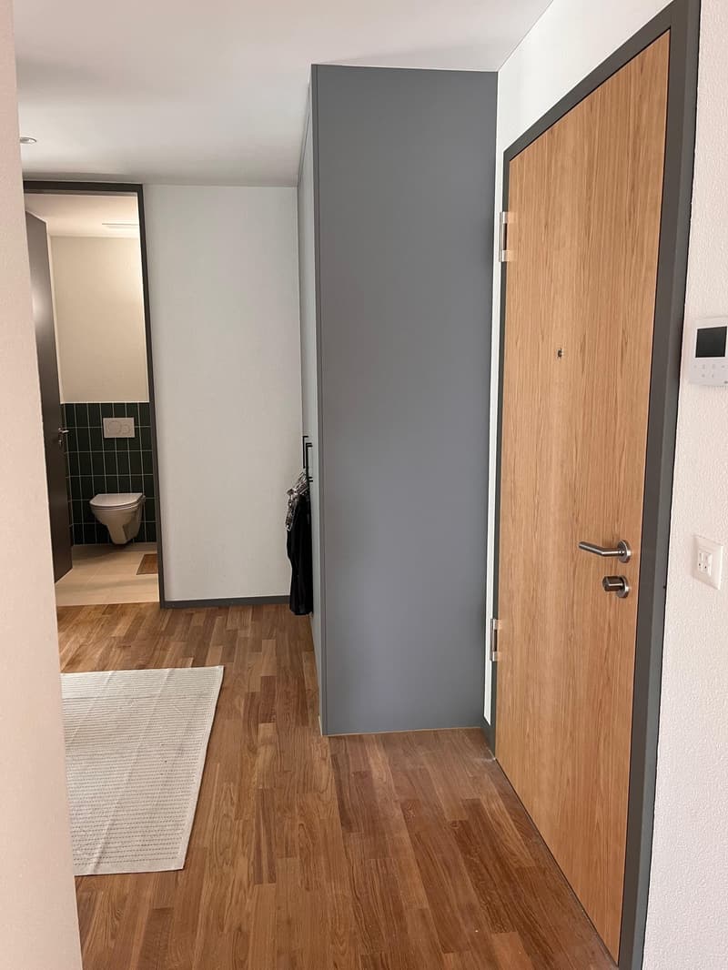Untervermietung 4.5 Zimmer Wohnung in Brunnen (3)