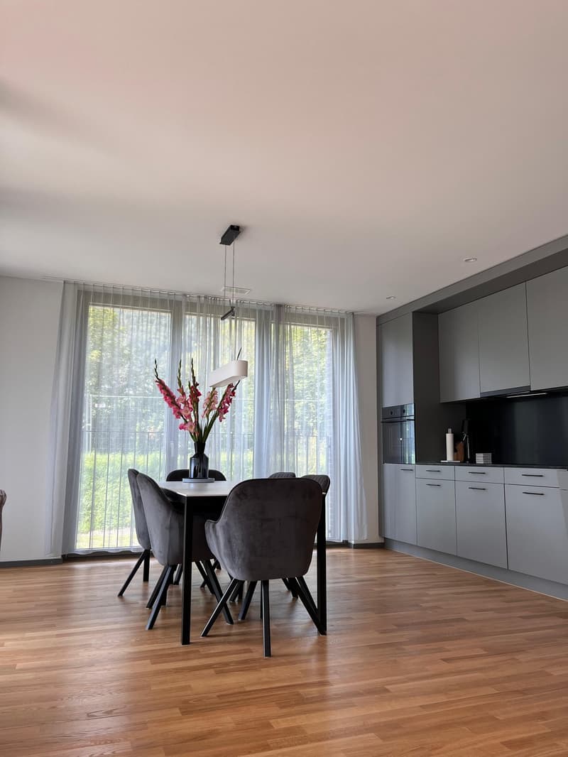 Untervermietung 4.5 Zimmer Wohnung in Brunnen (1)