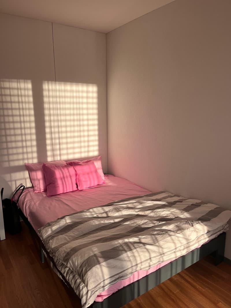 Untervermietung 4.5 Zimmer Wohnung in Brunnen (4)