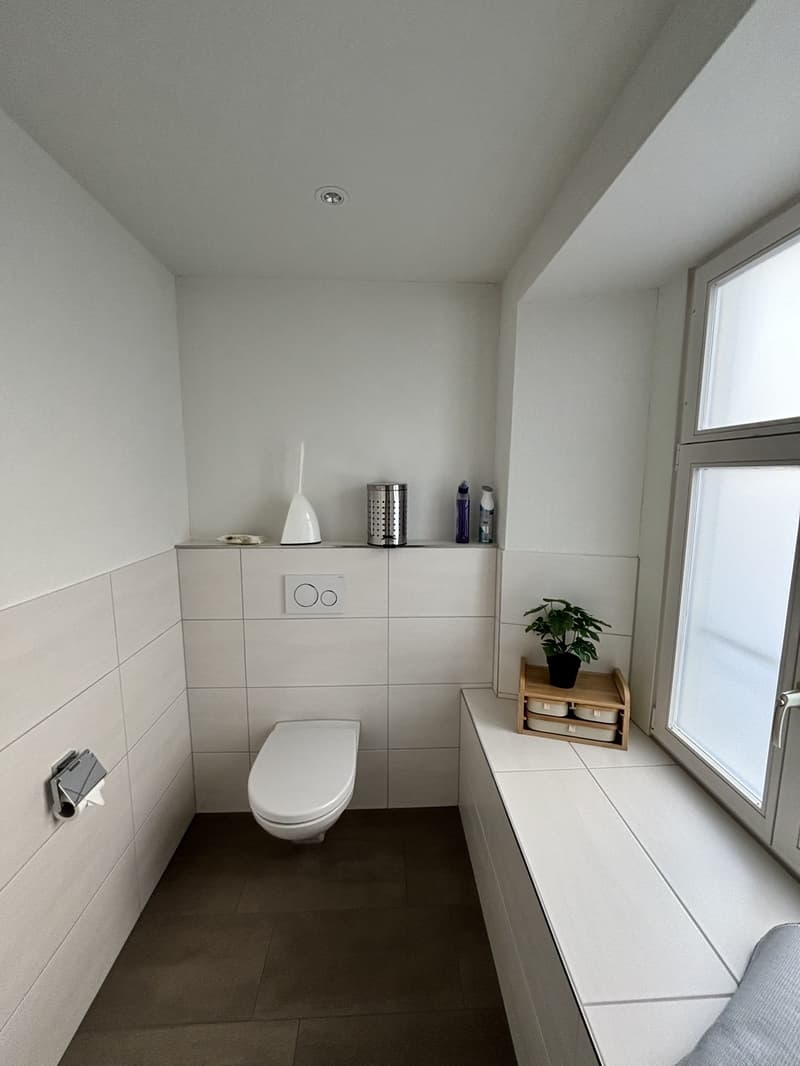 Möblierte 1-Zimmer-Wohnung in Pfäffikon ZH - befristete Untermiete (11)
