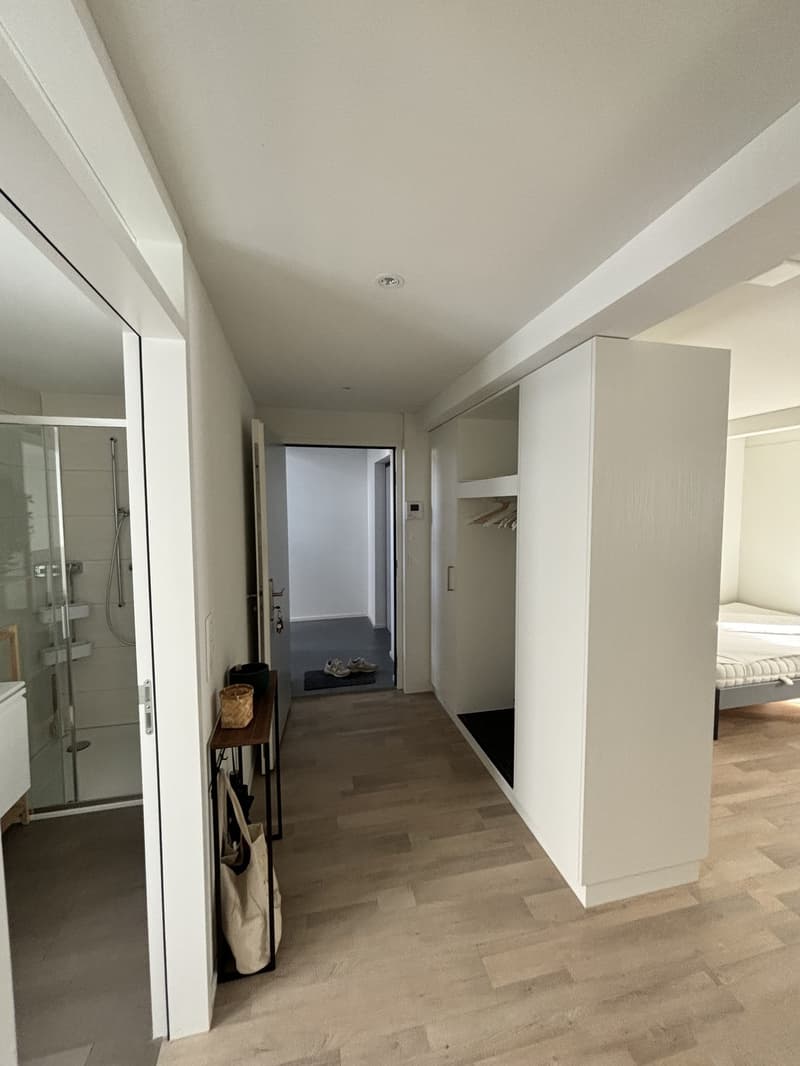 Möblierte 1-Zimmer-Wohnung in Pfäffikon ZH - befristete Untermiete (9)