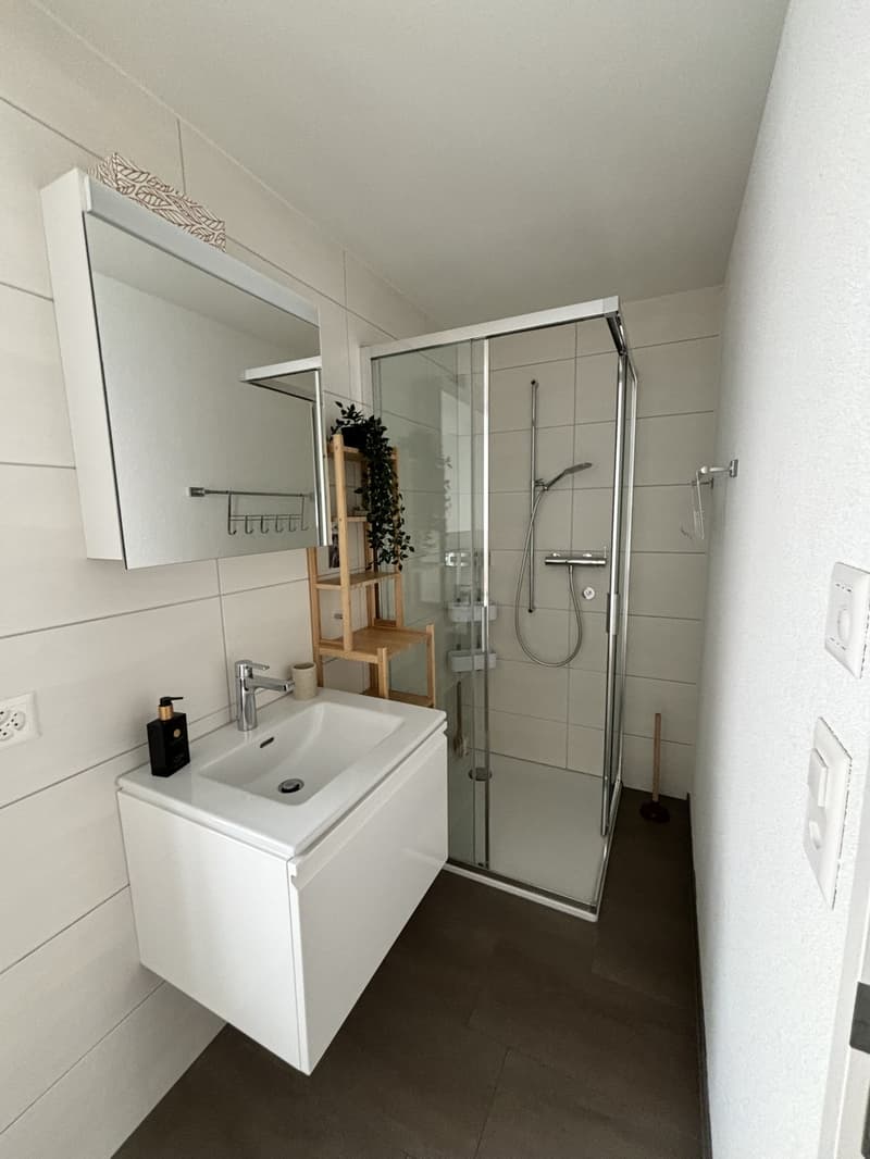 Möblierte 1-Zimmer-Wohnung in Pfäffikon ZH - befristete Untermiete (10)
