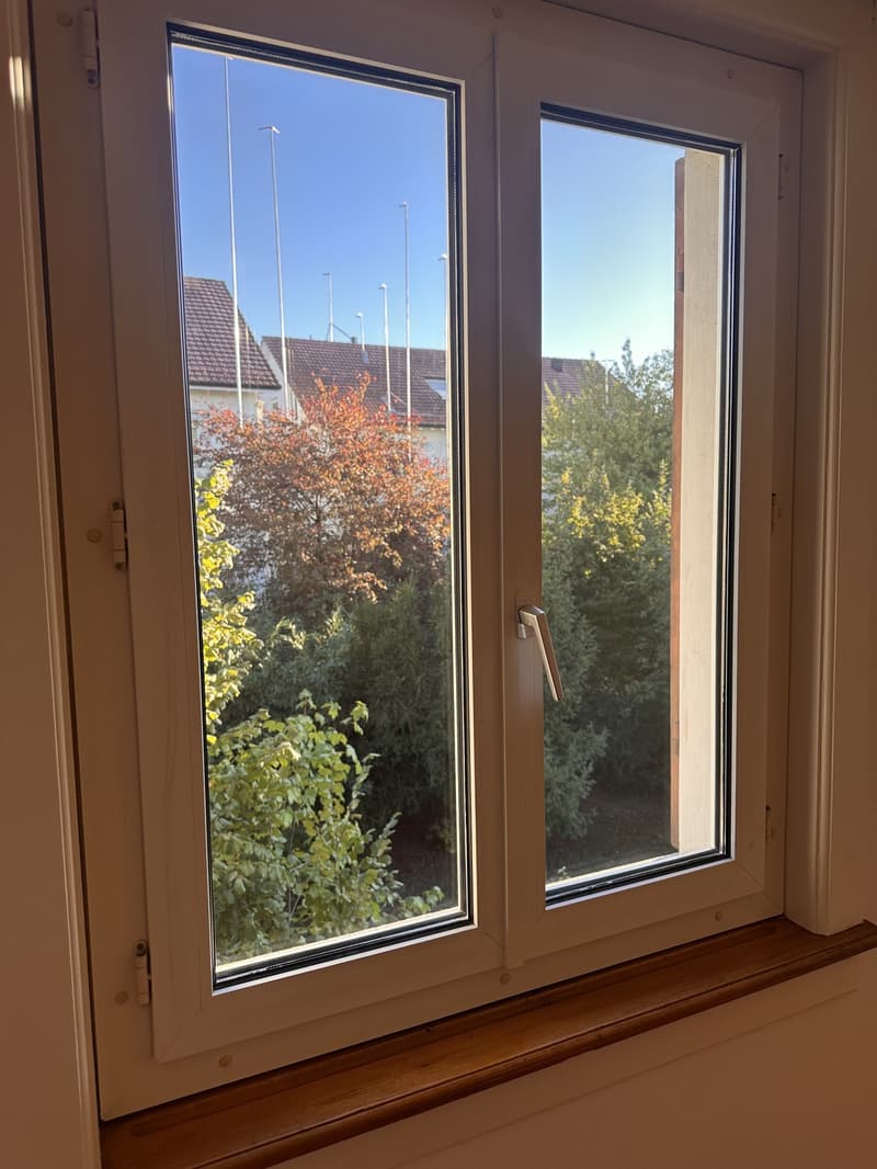 Zentraler Altbaucharme mit Balkon (3)