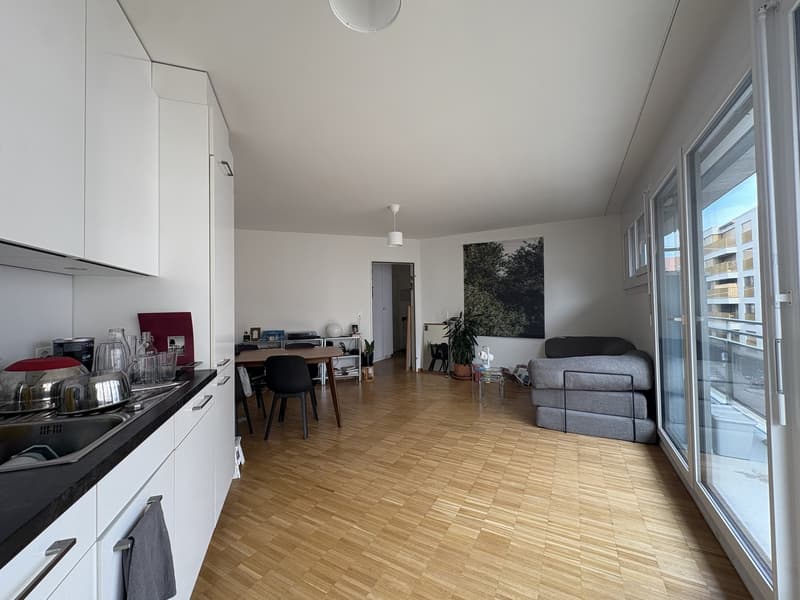 2 Zimmer-Wohnung, 4057 Basel (6)
