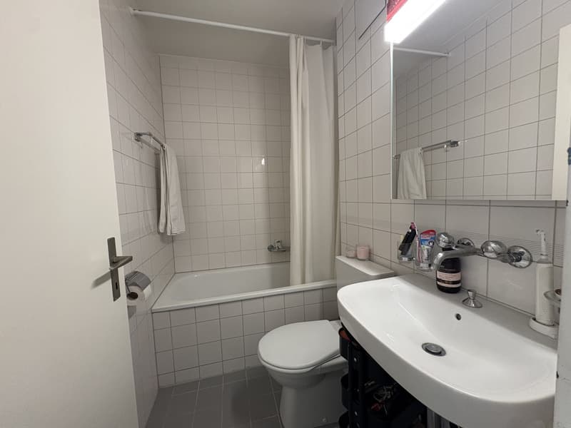 2 Zimmer-Wohnung, 4057 Basel (2)
