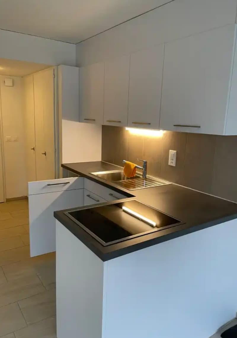 Wohnung 1 Zimmer (1)