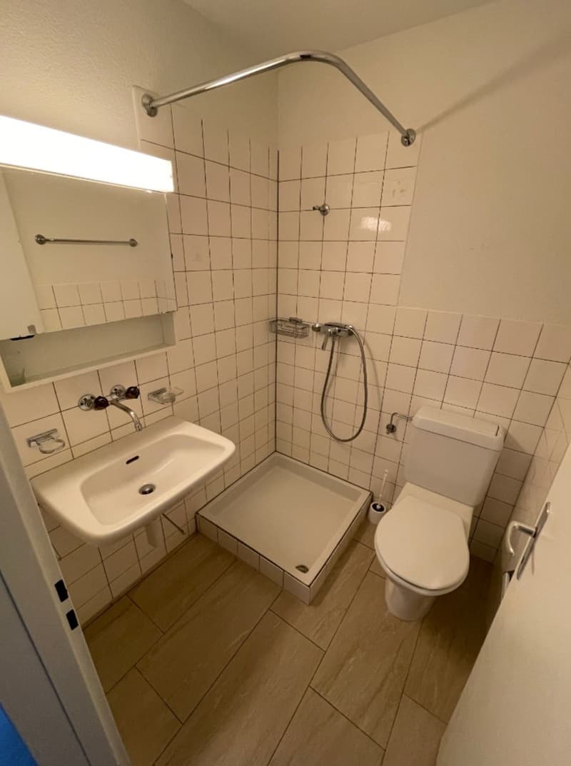 Wohnung 1 Zimmer (2)