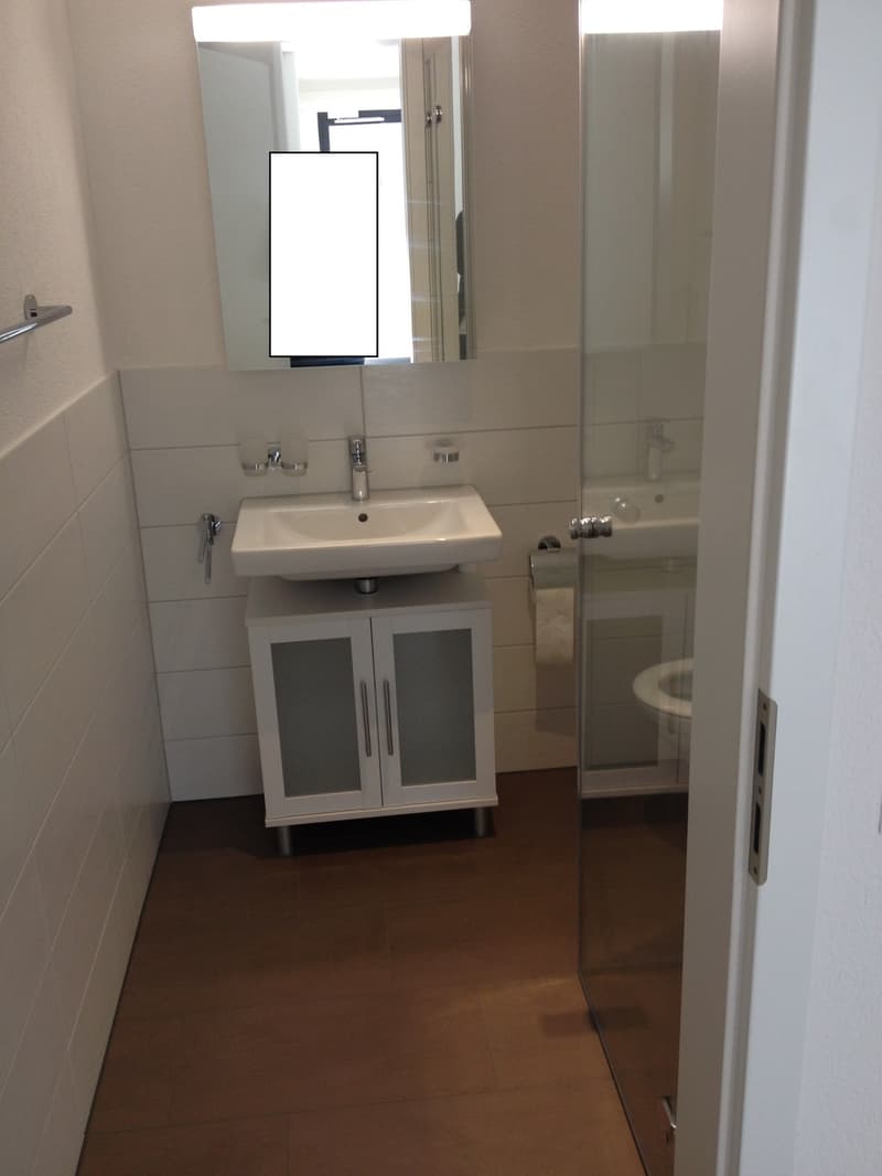 3-Zimmerwohnung in Pfäffikon ZH (4)