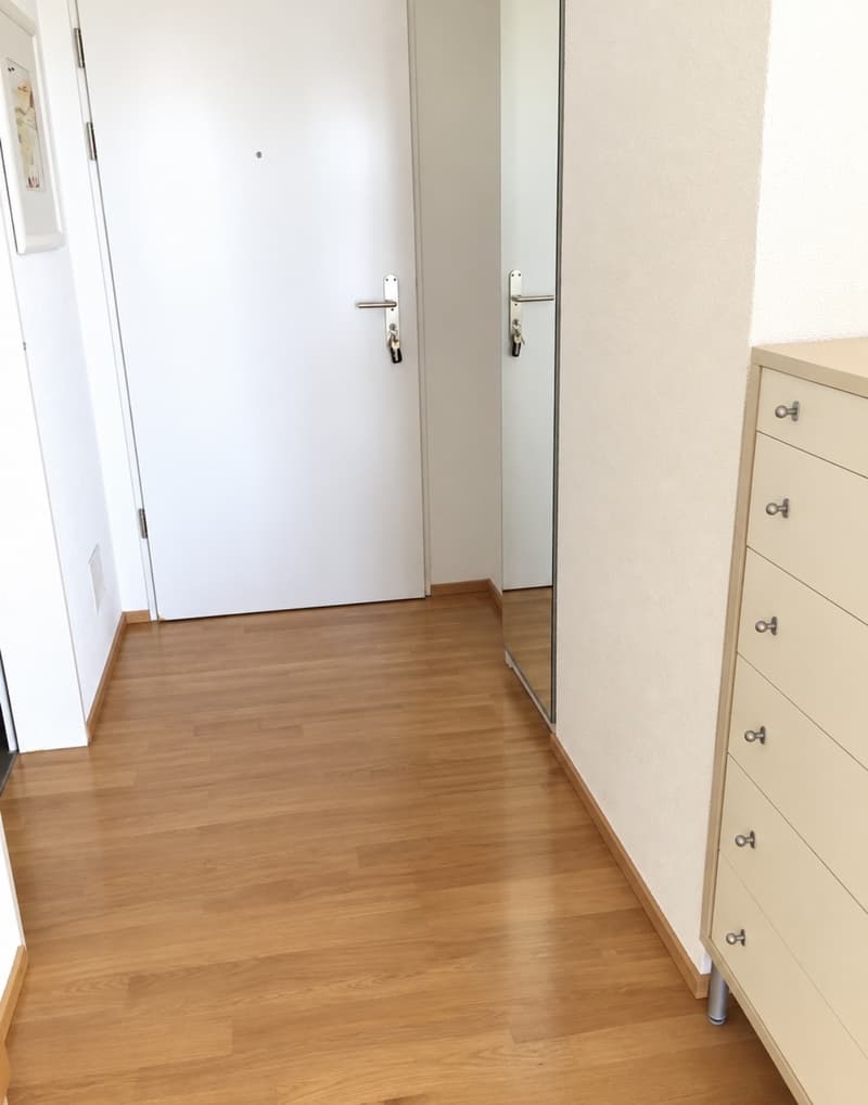 1-Zimmer-Studio (41 m²) mit Balkon & Aussicht (7)