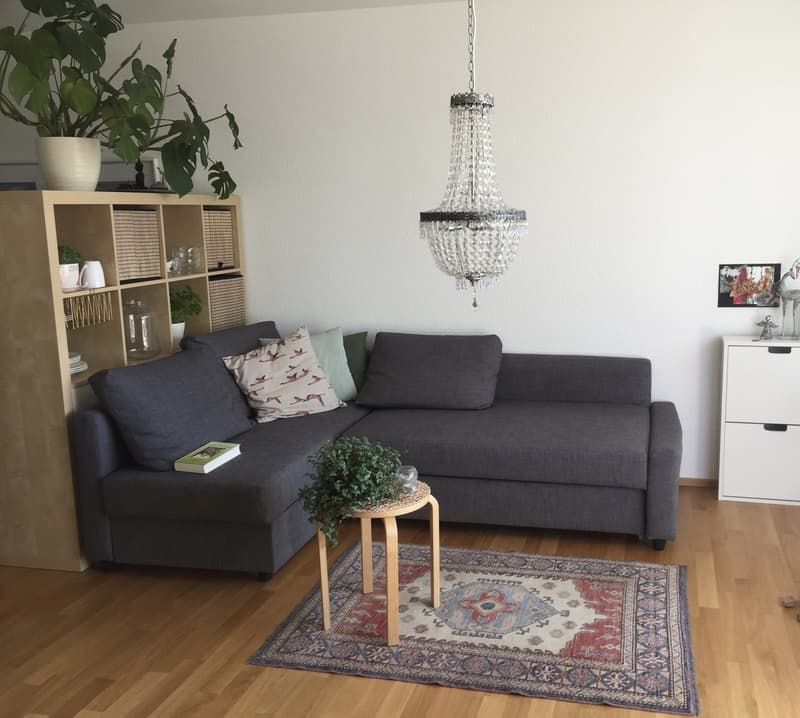 1-Zimmer-Studio (41 m²) mit Balkon & Aussicht (1)