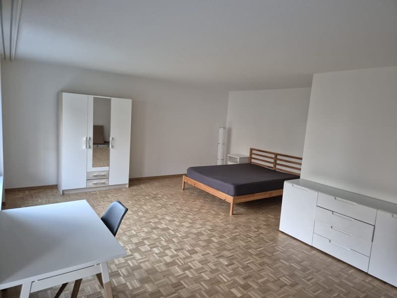 ab sofort möbliertes Zimmer in Zürich-Altstetten! (1)