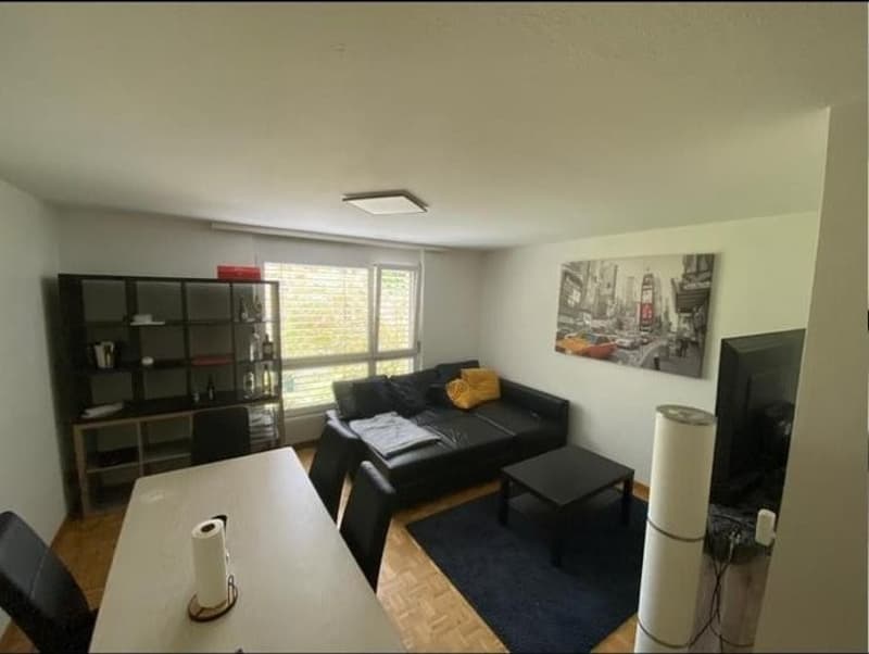 1 Bedroom Apartment in St. Gallen (3)