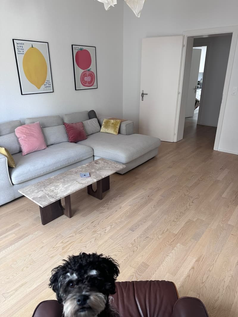 Moderne 4-Zimmer-Wohnung mit zwei Balkonen - nur zwei Minuten vom See (1)