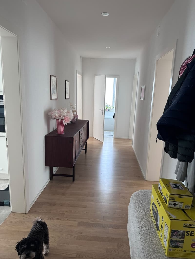 Moderne 4-Zimmer-Wohnung mit zwei Balkonen - nur zwei Minuten vom See (7)