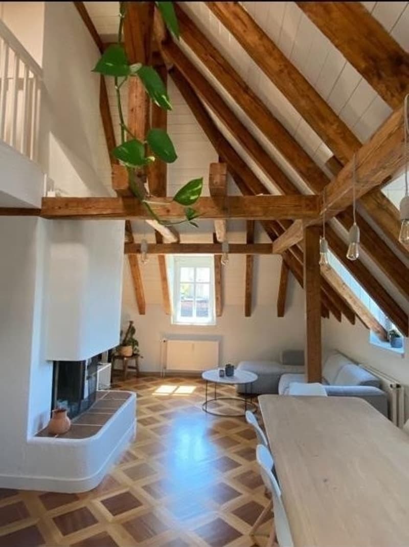 Unique flat with private rooftop and 2 bedrooms and 1 office (1)