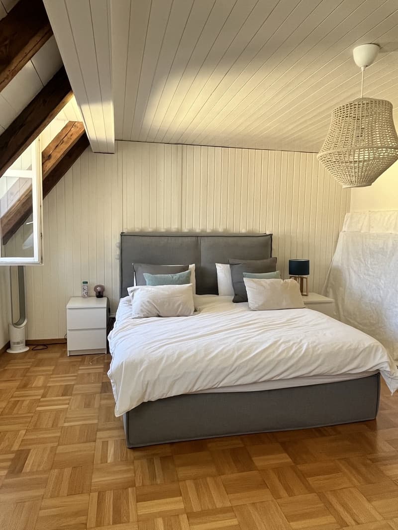 Unique flat with private rooftop and 2 bedrooms and 1 office (6)