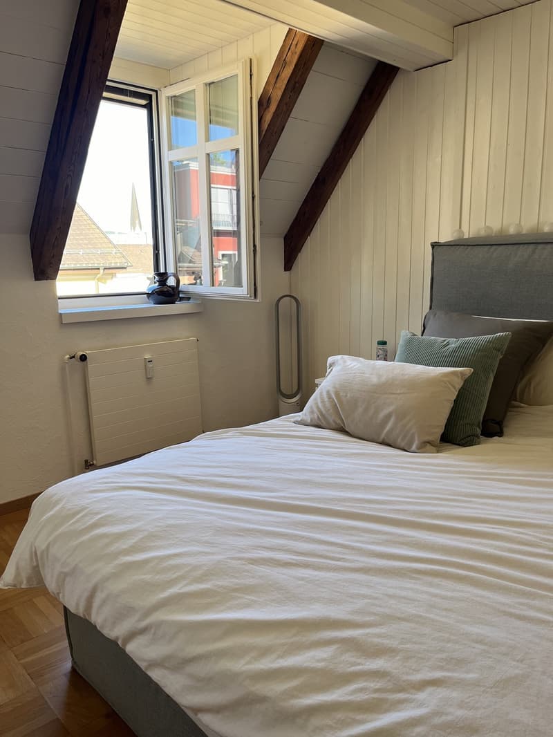 Unique flat with private rooftop and 2 bedrooms and 1 office (8)