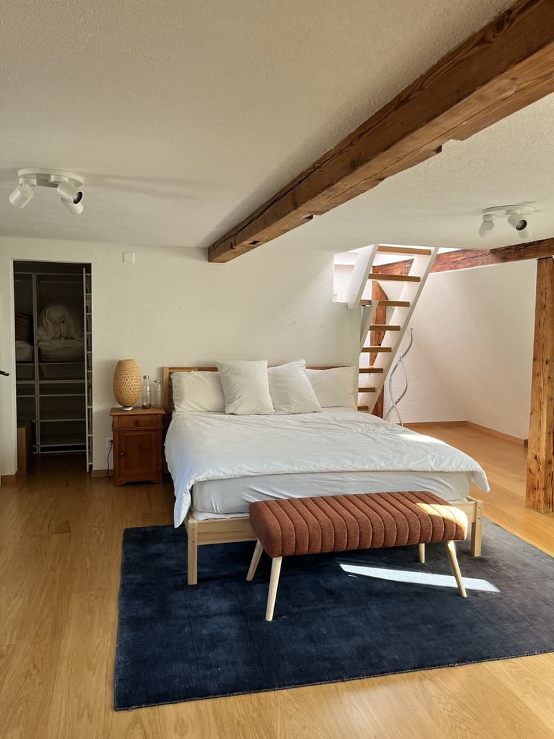 Unique flat with private rooftop and 2 bedrooms and 1 office (11)