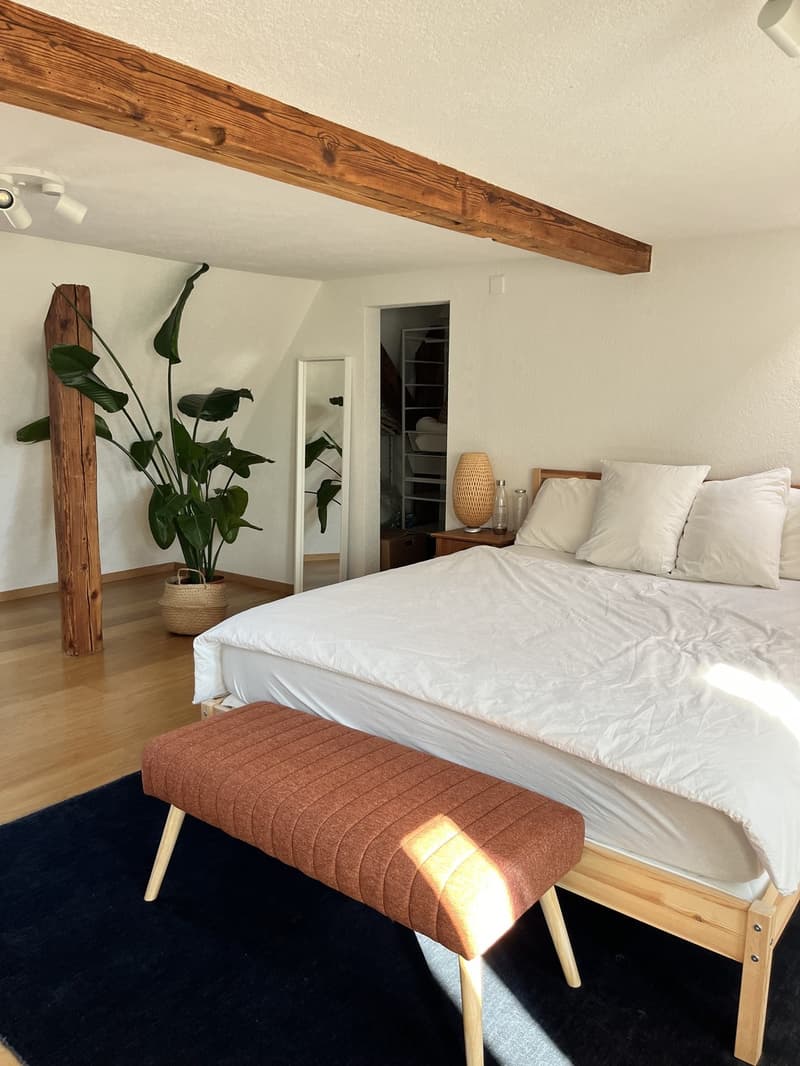 Unique flat with private rooftop and 2 bedrooms and 1 office (10)