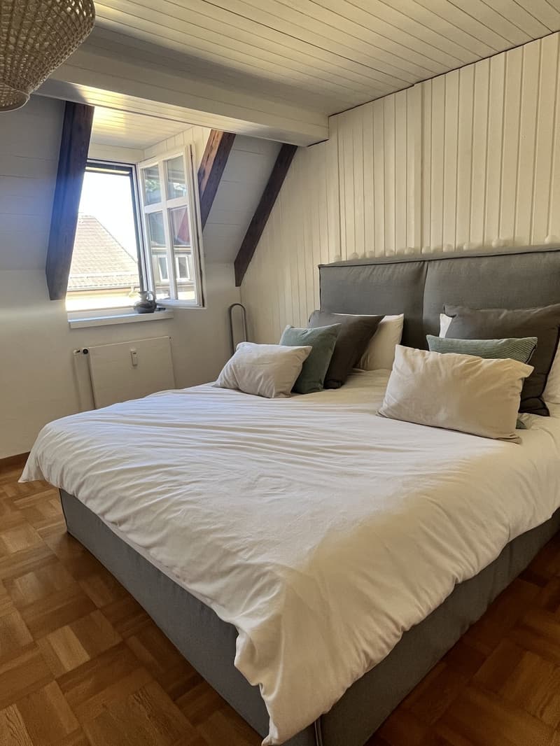 Unique flat with private rooftop and 2 bedrooms and 1 office (7)