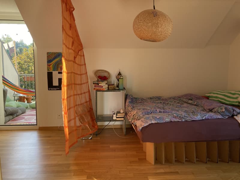 befristete 3-Zimmer-Maisonette-Wohnung (9)
