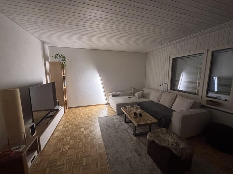 1 ½ Zimmer-Wohnung, 8134 Adliswil (1)