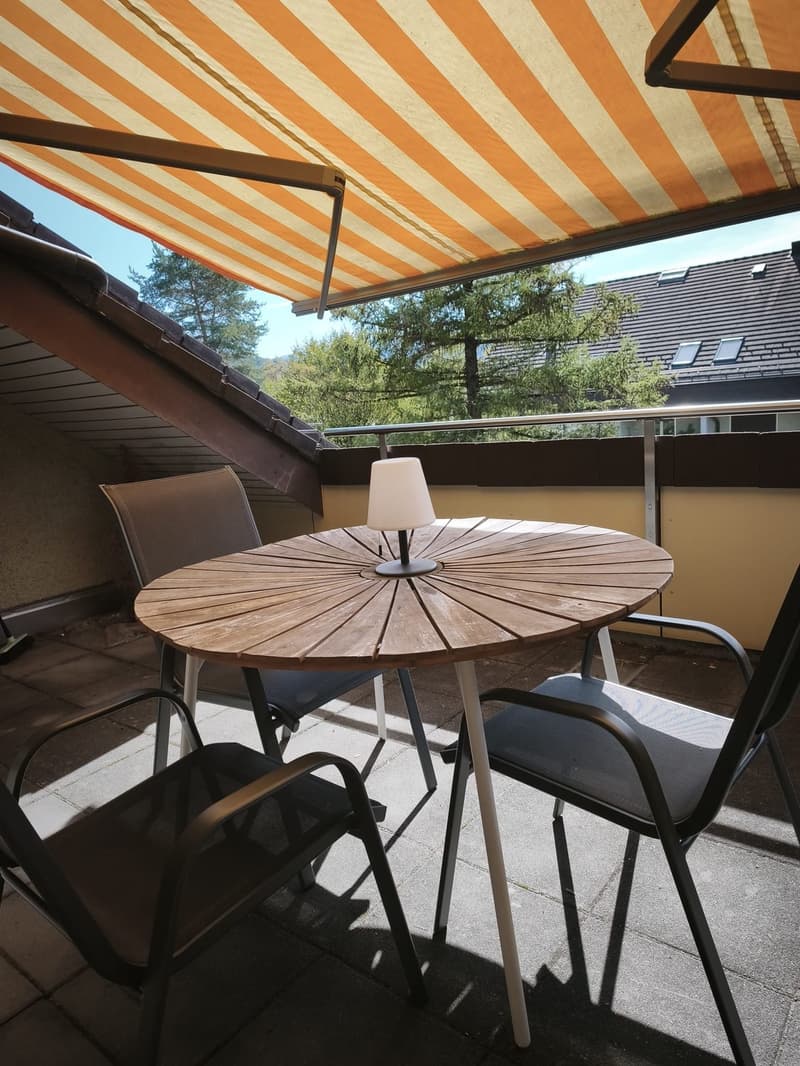 1 ½ Zimmer-Wohnung, 8134 Adliswil (6)