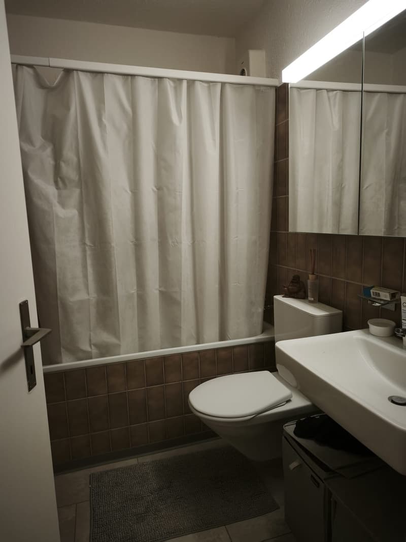 1 ½ Zimmer-Wohnung, 8134 Adliswil (8)