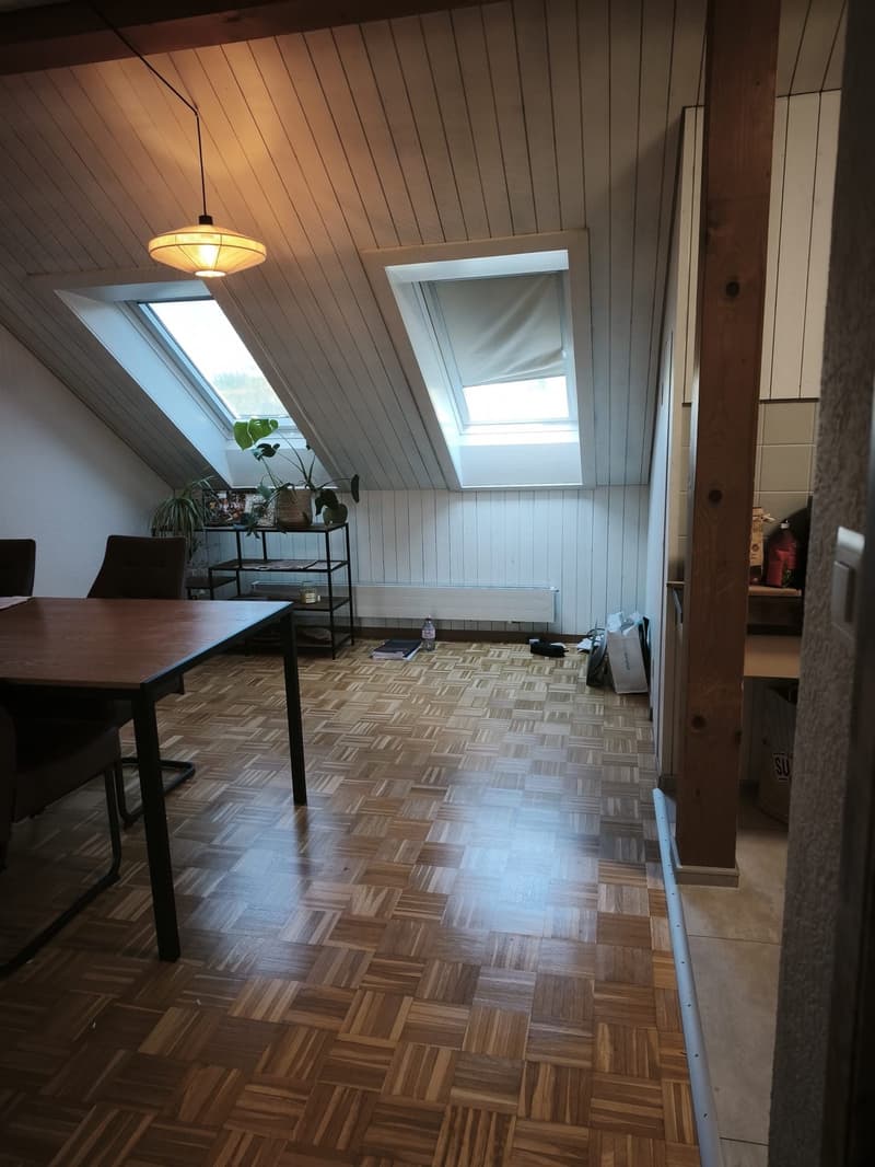 1 ½ Zimmer-Wohnung, 8134 Adliswil (5)