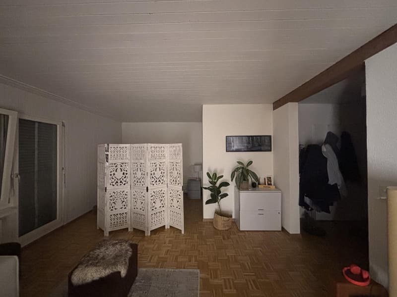 1 ½ Zimmer-Wohnung, 8134 Adliswil (2)