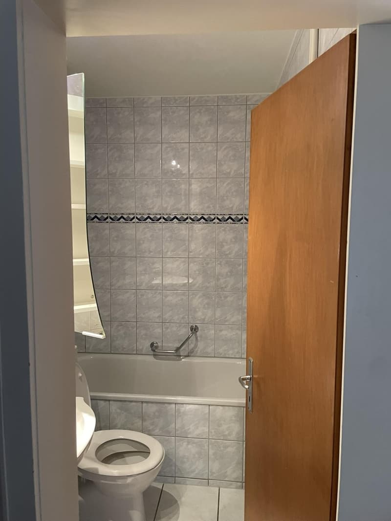 Nachmieter gesucht schöne helle Wohnung per 1. Januar 2027 (5)