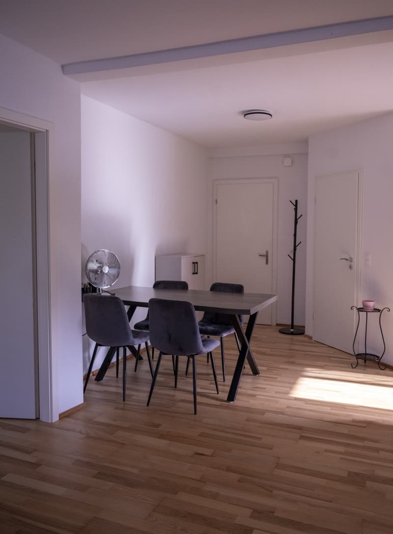 Nachmieter gesucht helle 3.5-Zimmer-Wohnung in Wetzikon (2)