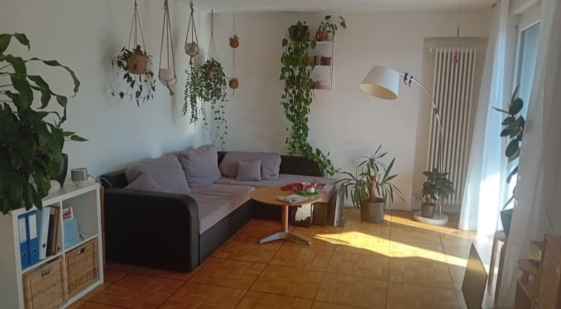 2er WG in 8400 Winterthur (5)