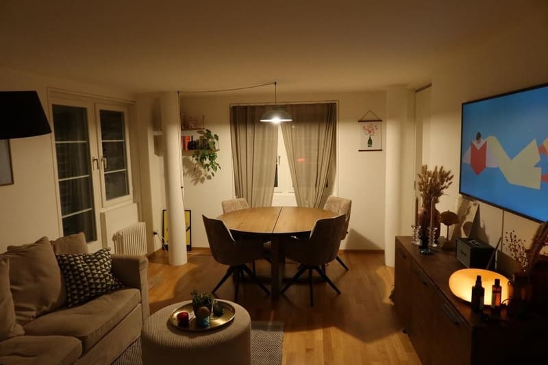 Apartment in the heart of Zürich (1)