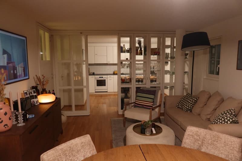 Apartment in the heart of Zürich (4)