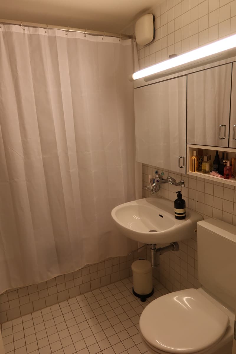 Apartment in the heart of Zürich (6)