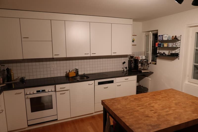 Apartment in the heart of Zürich (3)