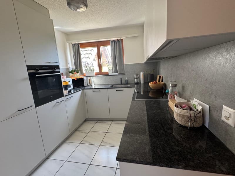 Wohnung mit Blick über Zürich (2)