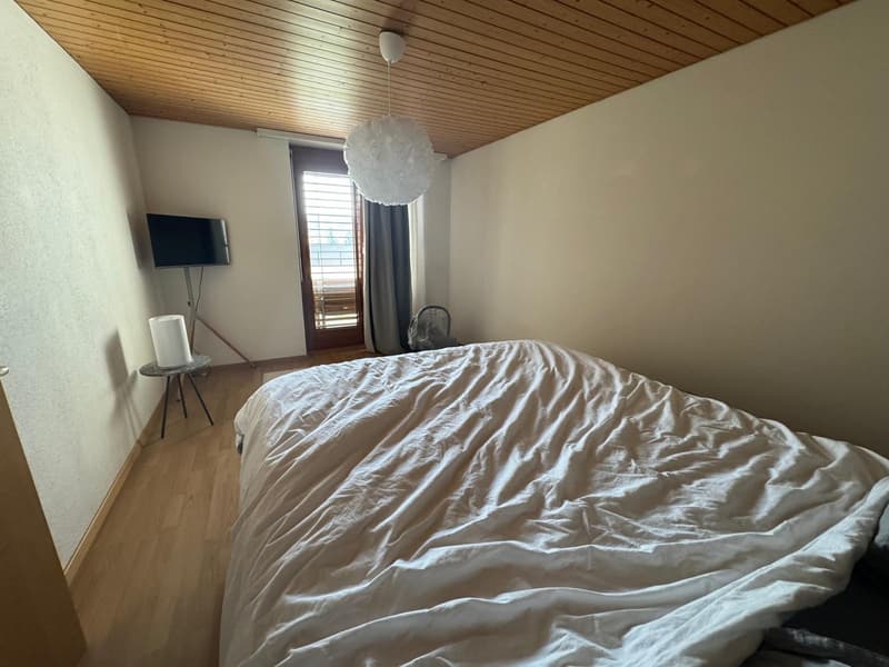 Wohnung mit Blick über Zürich (3)