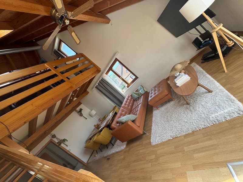 Wohnung mit Blick über Zürich (6)