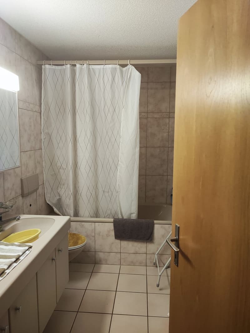 Wohnung mit Blick über Zürich (8)