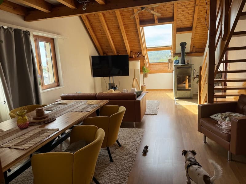 Wohnung mit Blick über Zürich (4)