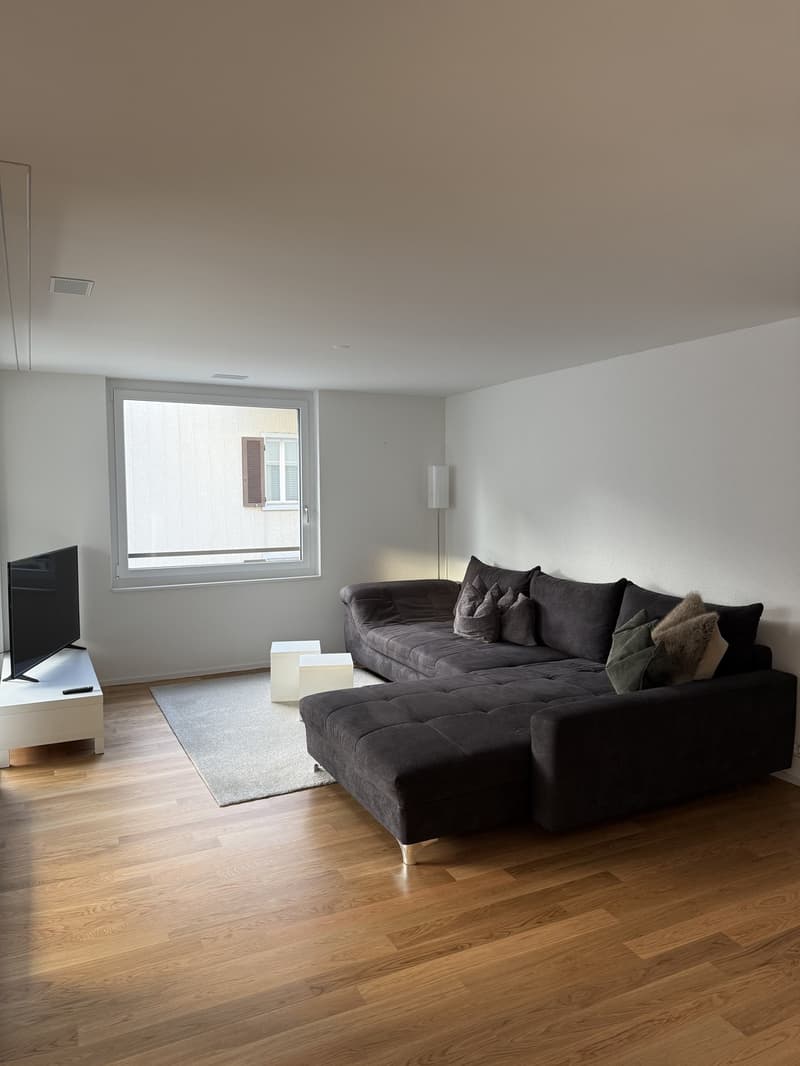 Moderne möblierte Wohnung zur Untermiete in Pfäffikon SZ (2)