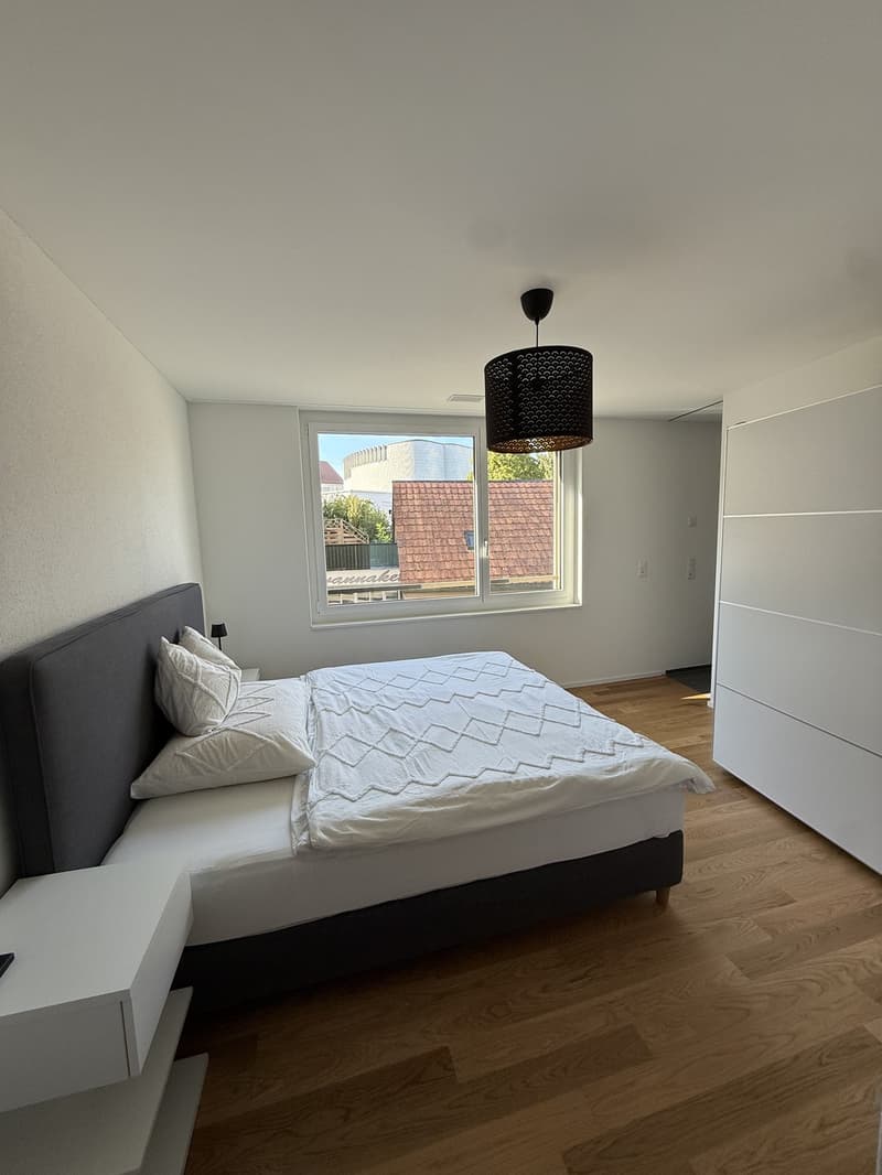 Moderne möblierte Wohnung zur Untermiete in Pfäffikon SZ (3)