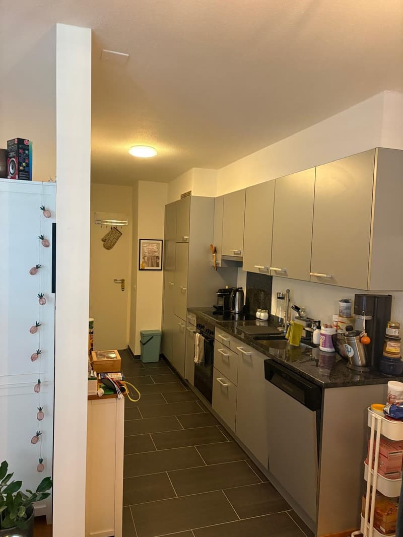 2 ½ Zimmer-Wohnung, 8820 Wädenswil (4)