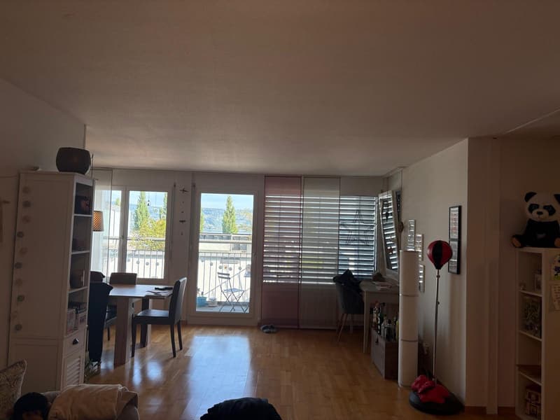 2 ½ Zimmer-Wohnung, 8820 Wädenswil (3)
