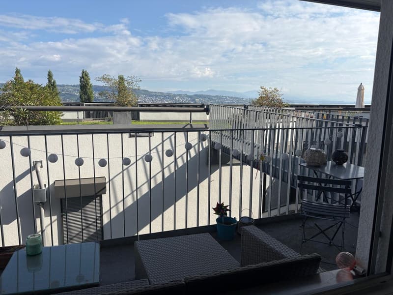 2 ½ Zimmer-Wohnung, 8820 Wädenswil (10)