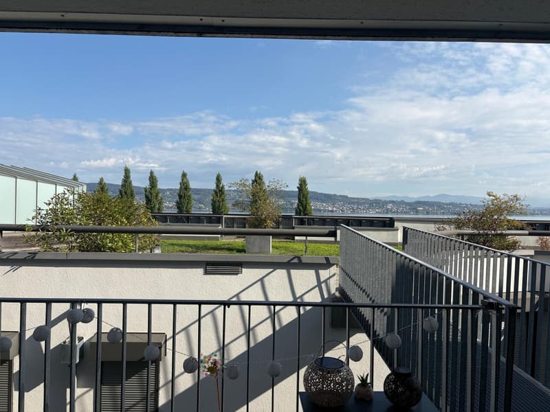 2 ½ Zimmer-Wohnung, 8820 Wädenswil (11)