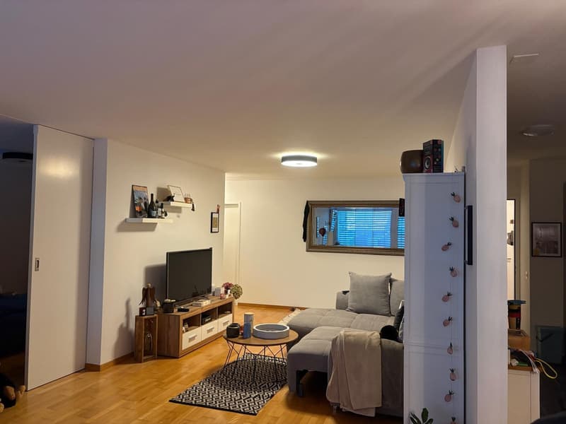 2 ½ Zimmer-Wohnung, 8820 Wädenswil (2)