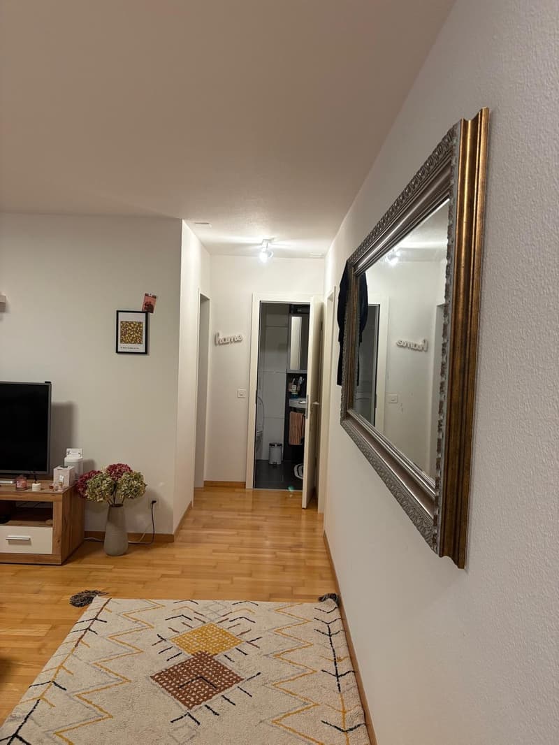 2 ½ Zimmer-Wohnung, 8820 Wädenswil (5)